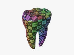 tooth molars 3D Model
