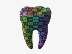 tooth molars 3D Model