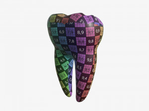 tooth molars 3D 모델