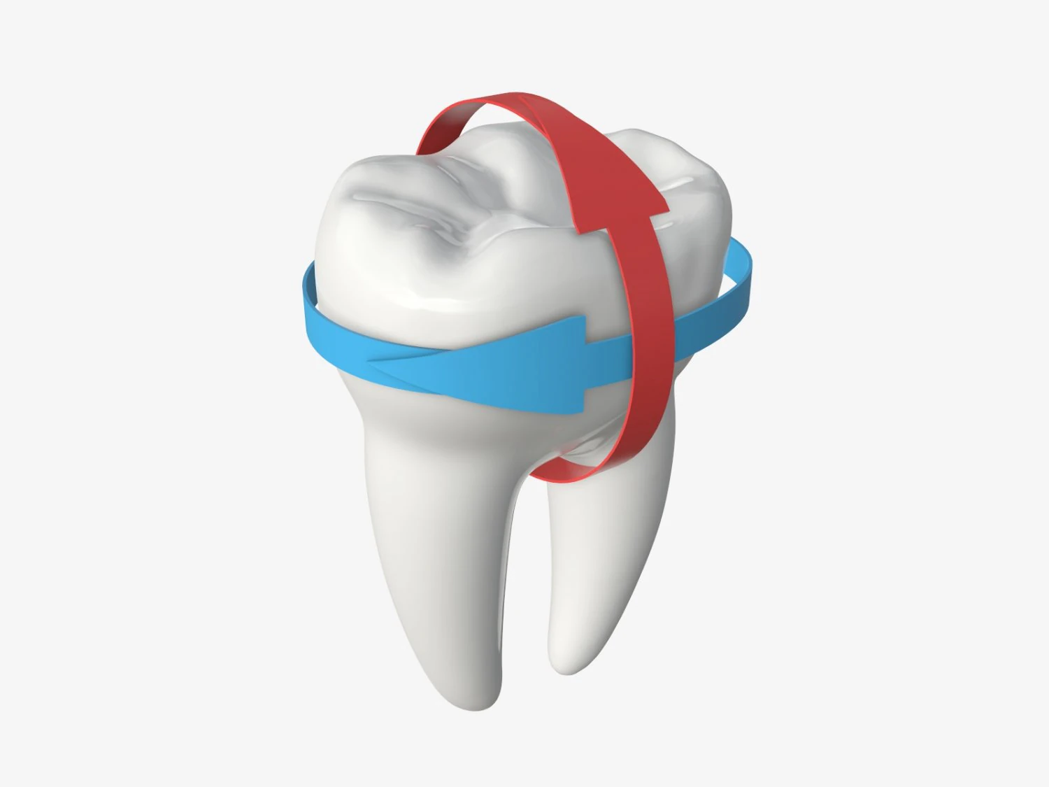 tooth molars with arrows 01 3D Model .c4d .max .obj .3ds .fbx .stl .blend 