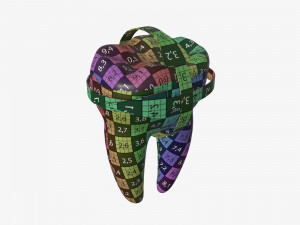 tooth molars with arrows 01 Model 3D