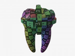 tooth molars with arrows 01 Model 3D