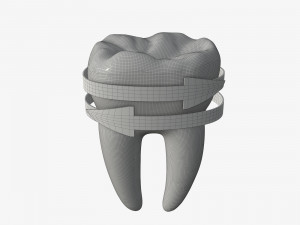 tooth molars with arrows 02 3D Model
