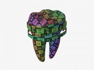 tooth molars with arrows 02 3D Model
