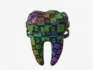 tooth molars with arrows 02 3D Model