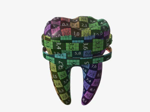tooth molars with arrows 02 3D Model