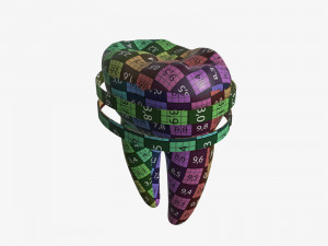 tooth molars with arrows 02 3D Model