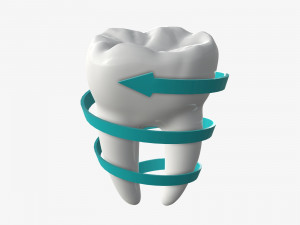 tooth molars with arrow 03 3D Model