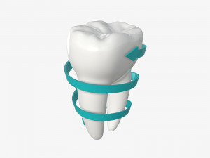 tooth molars with arrow 03 3D Model