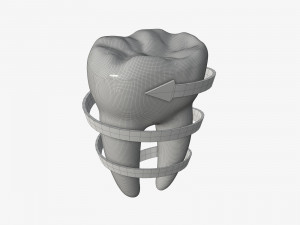 tooth molars with arrow 03 3D Model