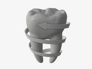 tooth molars with arrow 03 3D Model