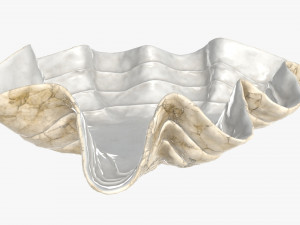 clam shell bowl 3D 모델