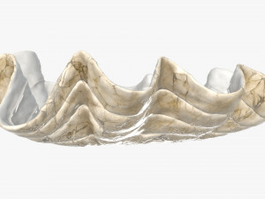 clam shell bowl 3D 모델