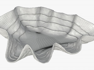 clam shell bowl 3D 모델