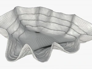 clam shell bowl 3D Model