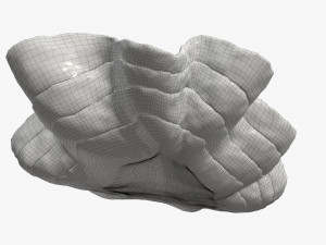 clam shell bowl 3D 모델