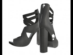 female footwear 01 Model 3D
