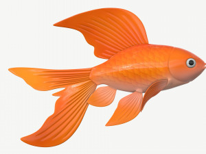 goldfish cartoon 3D Модель