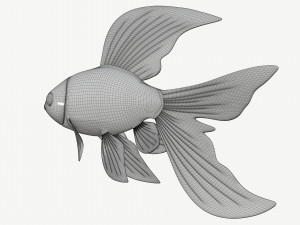 goldfish cartoon 3D Модель