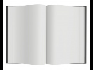 album opened size a4 02 Modello 3D