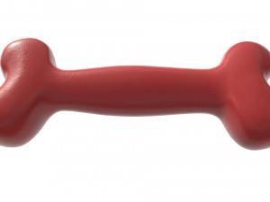 bone pet toy 3D Model