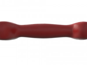 bone pet toy 3D Model