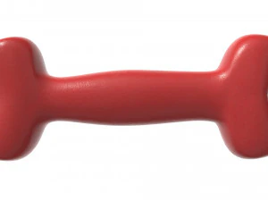 bone pet toy 3D Model