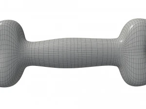 bone pet toy 3D Model