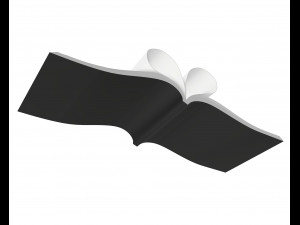 brochure opened size a5 04 Modèle 3D