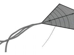flying kite 3D 模型