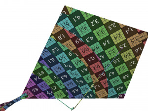 flying kite 3D 模型