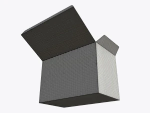 opened tea paper box with sachets 3D Model