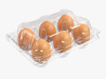 egg plastic package 6 eggs Model 3D