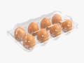 egg plastic package 8 eggs Model 3D