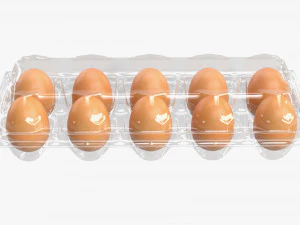 egg plastic package 10 eggs v1 3D Model