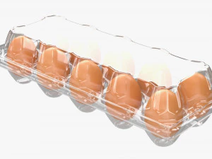 egg plastic package 10 eggs v1 3D Model