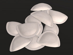dumplings 01 Model 3D