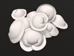 dumplings 03 Model 3D