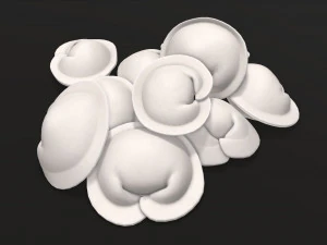 dumplings 03 3D Model