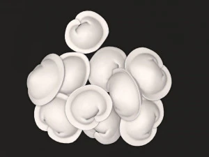 dumplings 03 3D Model