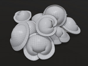 dumplings 03 Model 3D