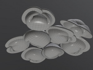 dumplings 03 Model 3D
