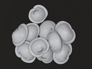 dumplings 03 Model 3D