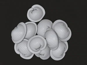 dumplings 03 3D Model