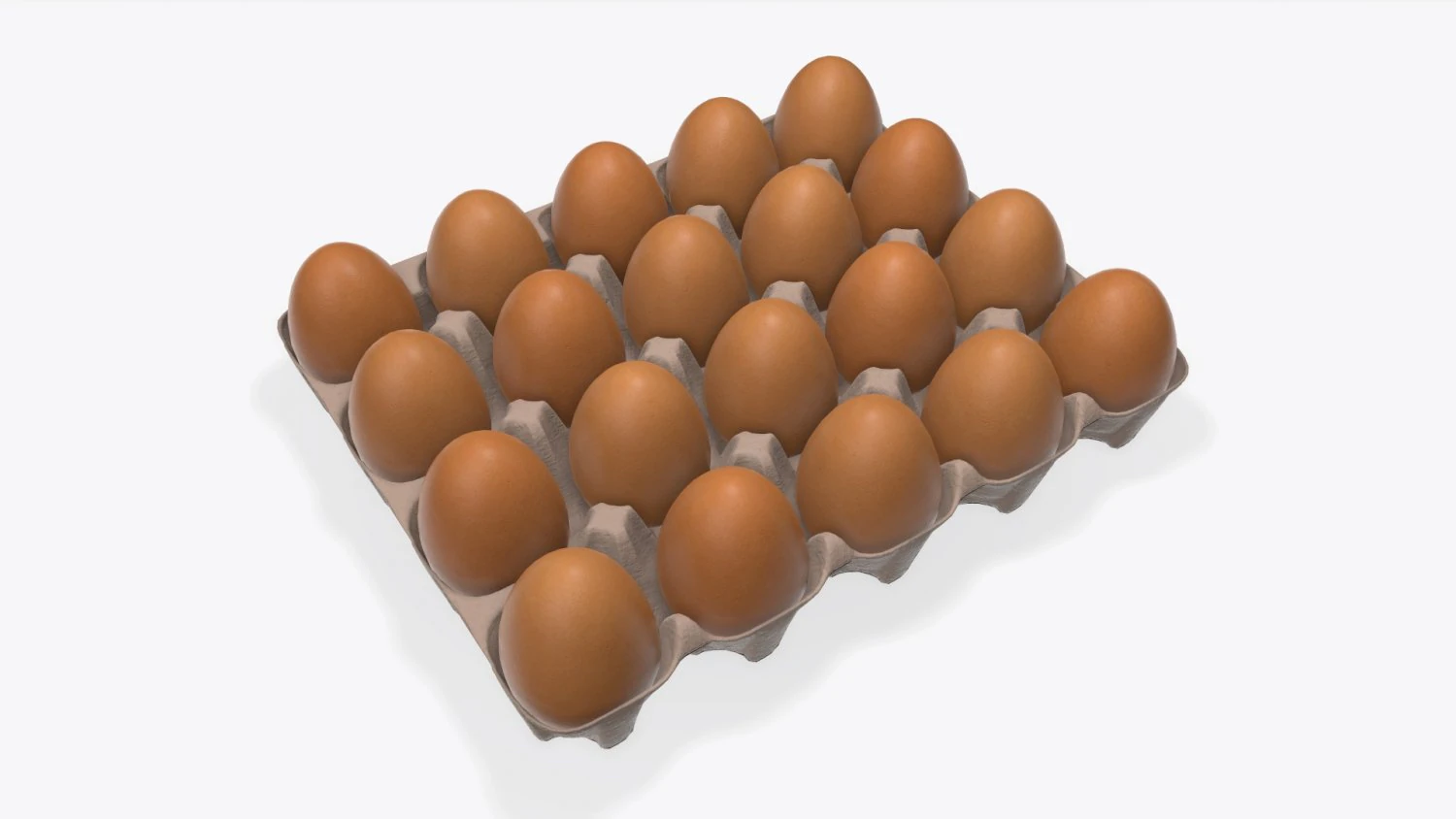 egg cardboard base for 20 eggs 3D Model .c4d .max .obj .3ds .fbx .stl .blend 