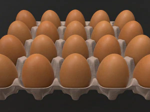 egg cardboard base for 20 eggs 3D Model