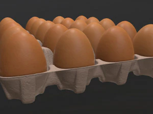 egg cardboard base for 20 eggs 3D Model