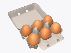 kartonowe opakowanie na 6 jajek otwarte Model 3D