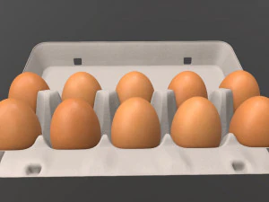 egg cardboard package for 10 eggs opened 3D Model