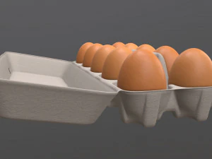 egg cardboard package for 10 eggs opened 3D Model